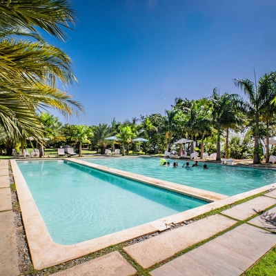 Caso real: Coconut Paradise
