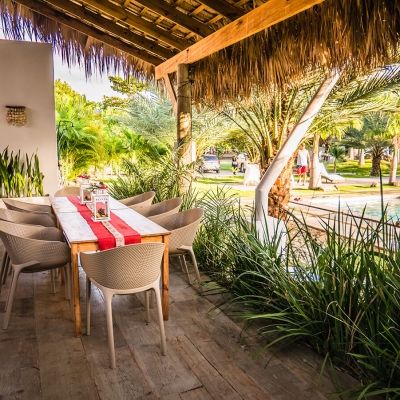 Caso real: Coconut Paradise
